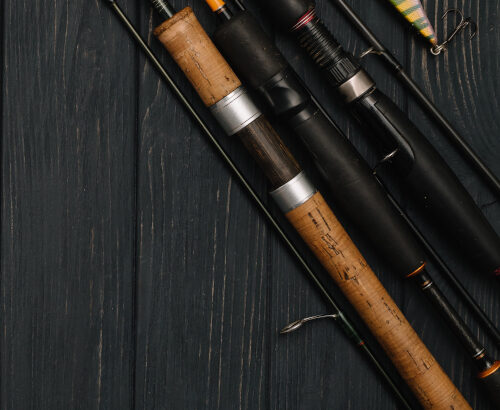 How to Choose the Right Fishing Rod for Your Needs