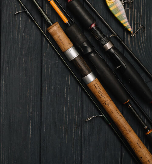 fishing store bass pro How to Choose the Right Fishing Rod