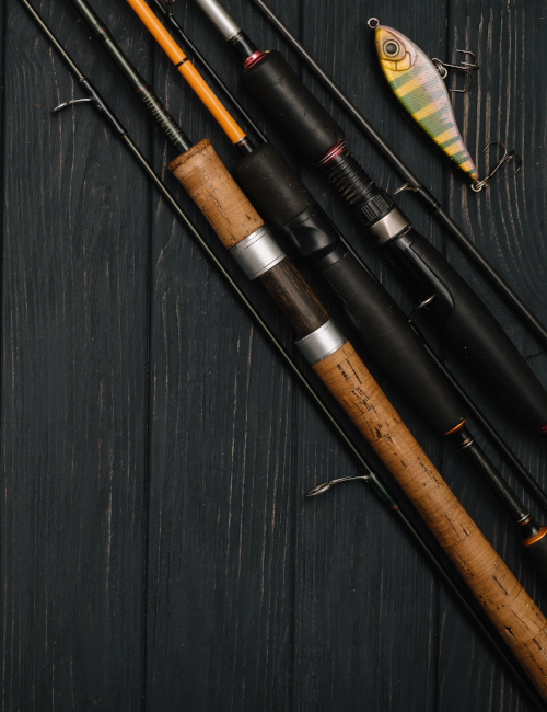 fishing store bass pro How to Choose the Right Fishing Rod