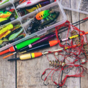 fishing store bait and tackle shop store gear for beginners