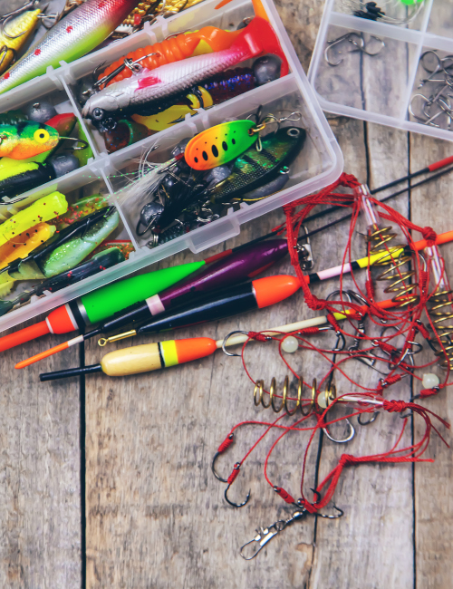 Must-Have Fishing Gear for Beginners: The Ultimate Guide