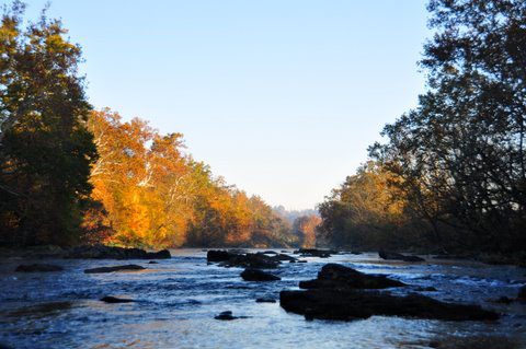 Altamont Anglers